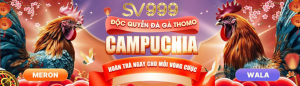 SV999 Độc Quyền Thomo
